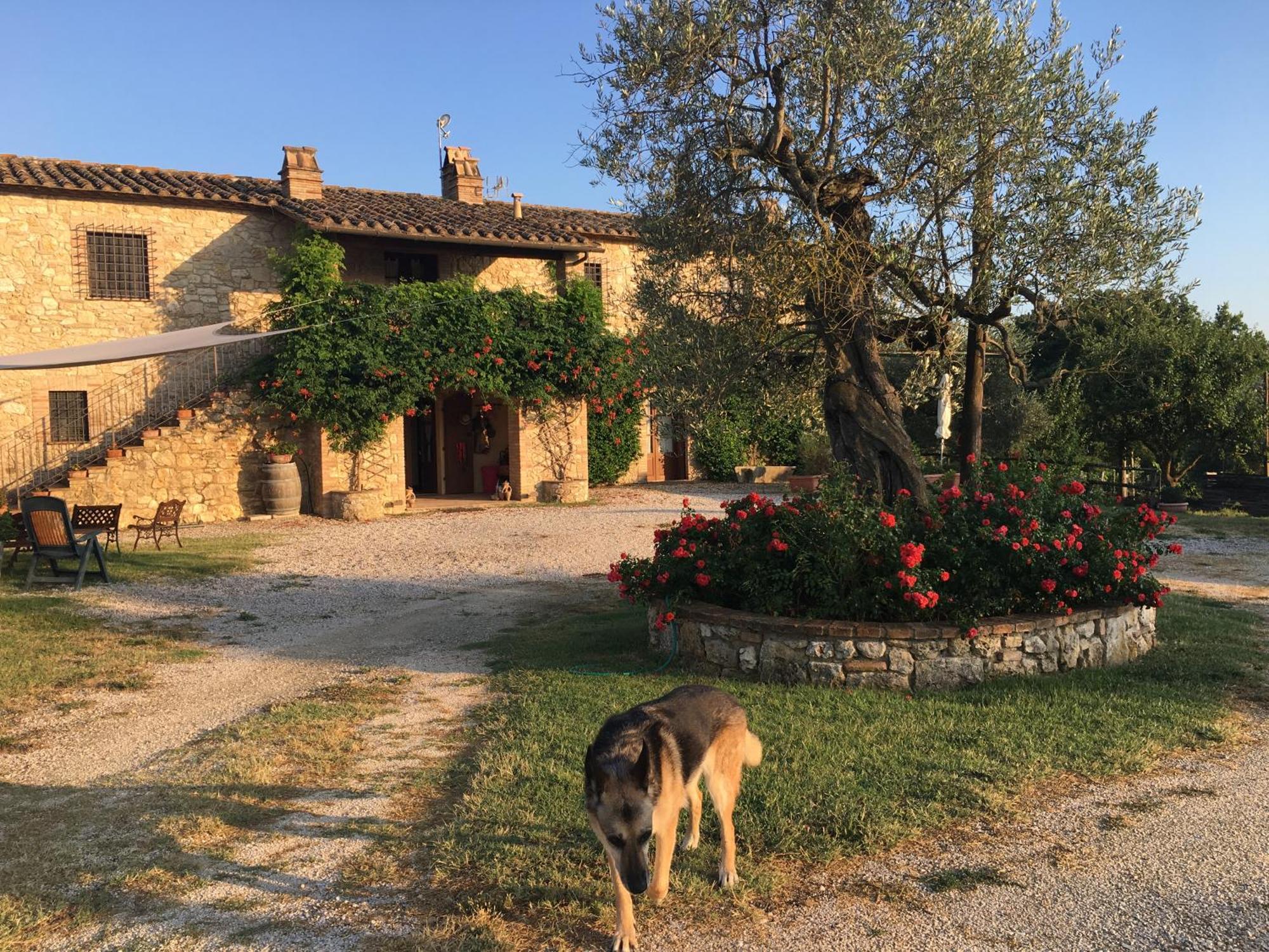 Agriturismo Podere Dell' Olmo Amelia Exteriér fotografie