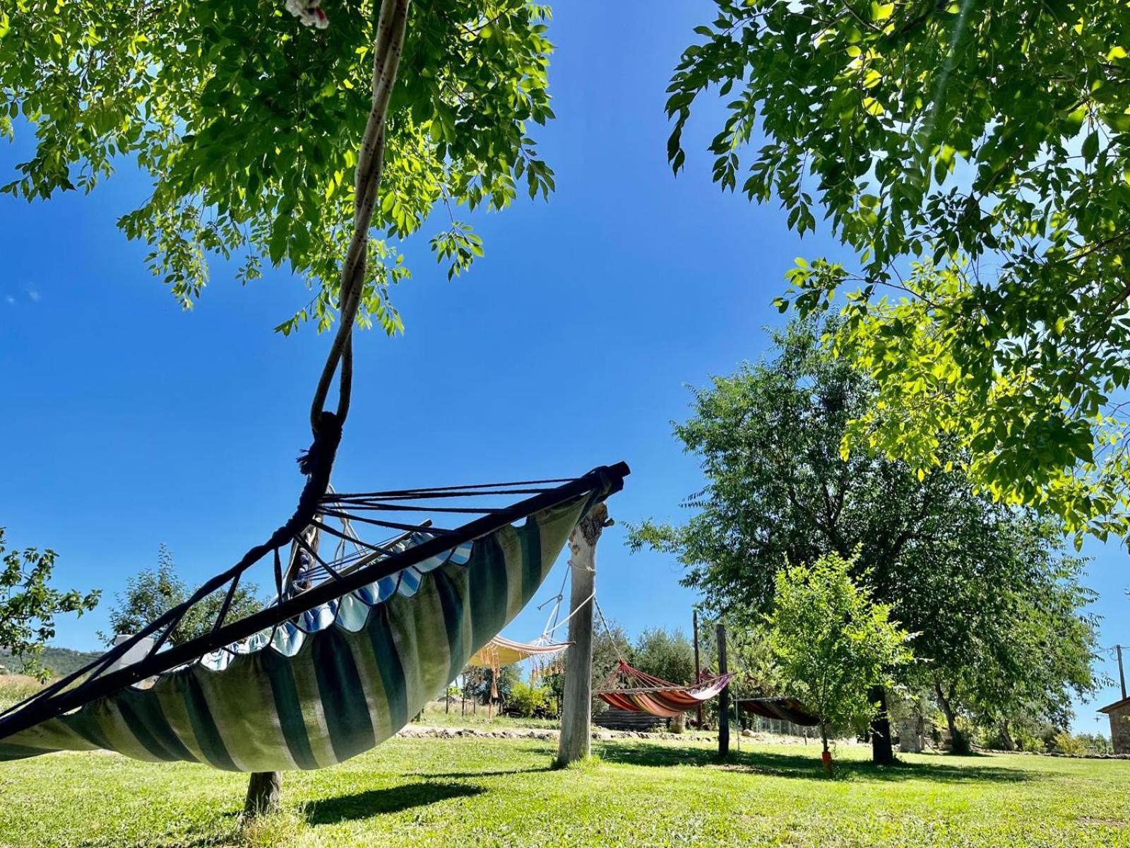 Agriturismo Podere Dell' Olmo Amelia Exteriér fotografie
