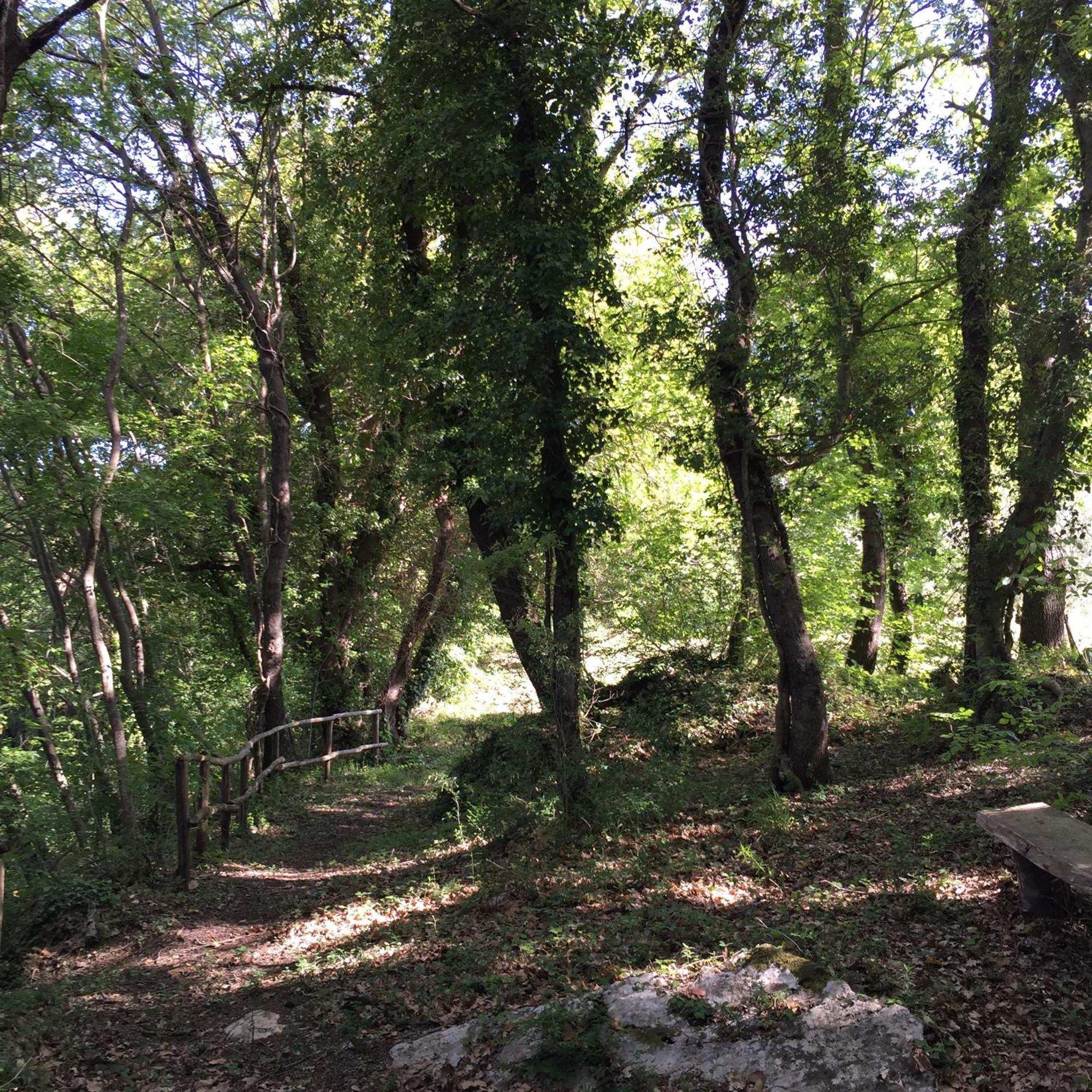 Agriturismo Podere Dell' Olmo Amelia Exteriér fotografie