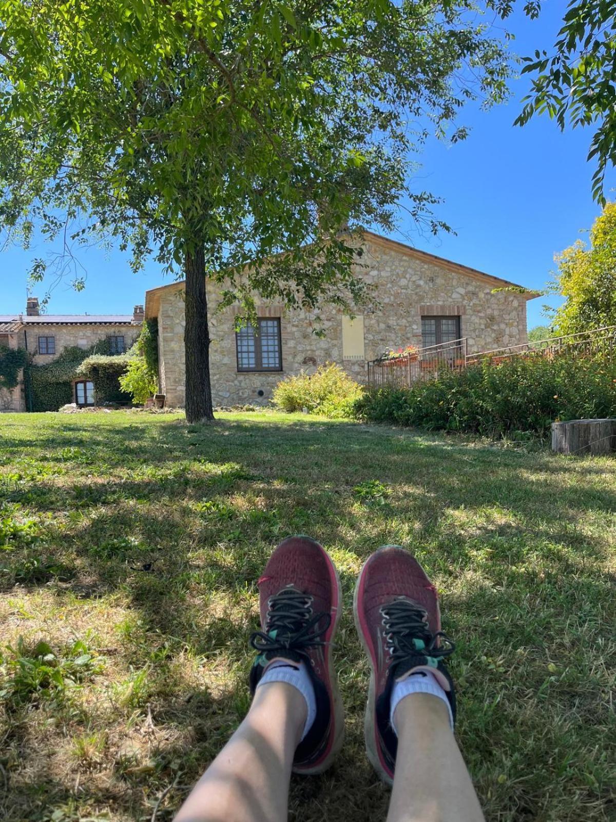 Agriturismo Podere Dell' Olmo Amelia Exteriér fotografie