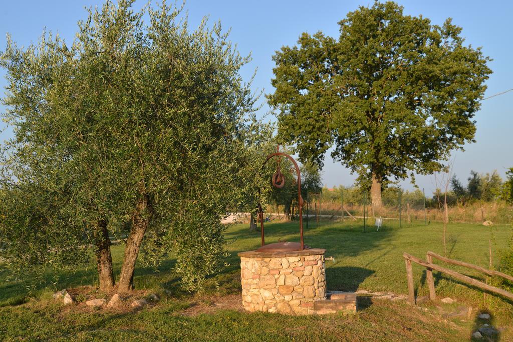 Agriturismo Podere Dell' Olmo Amelia Exteriér fotografie
