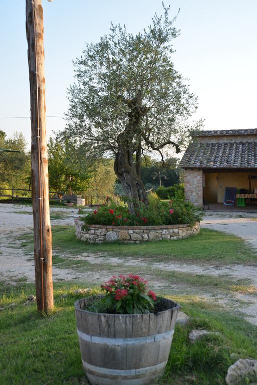 Agriturismo Podere Dell' Olmo Amelia Exteriér fotografie