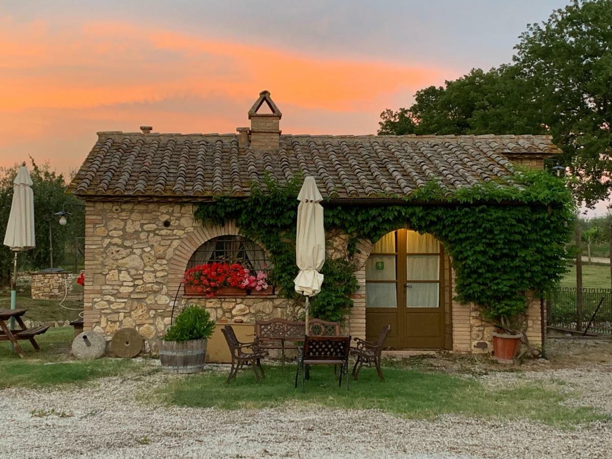 Agriturismo Podere Dell' Olmo Amelia Exteriér fotografie