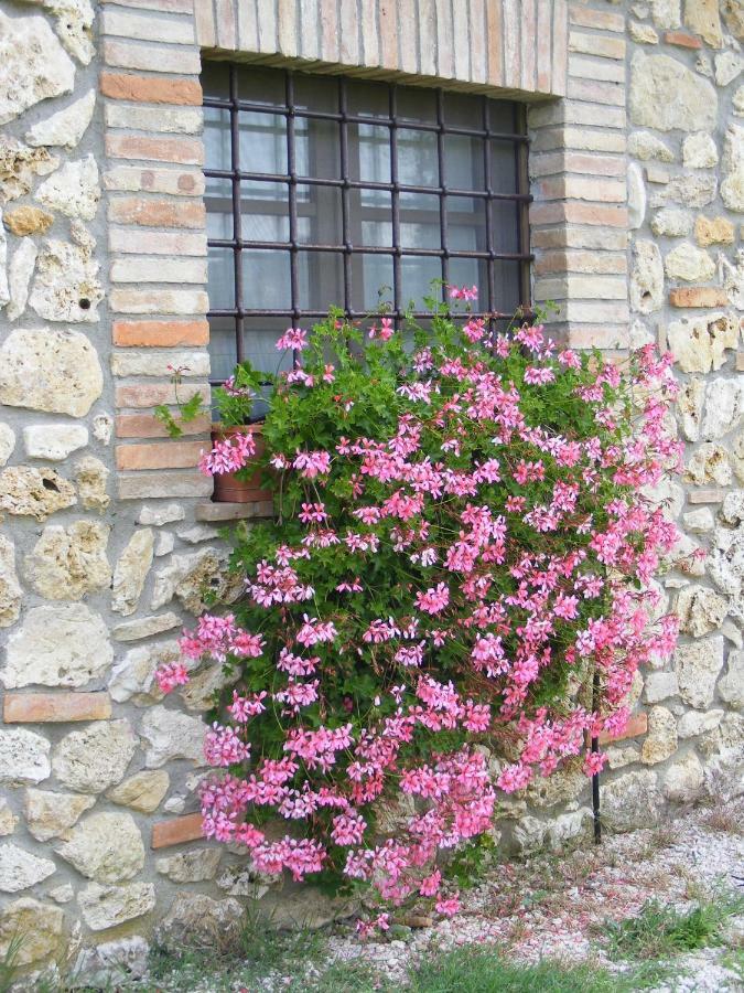 Agriturismo Podere Dell' Olmo Amelia Exteriér fotografie