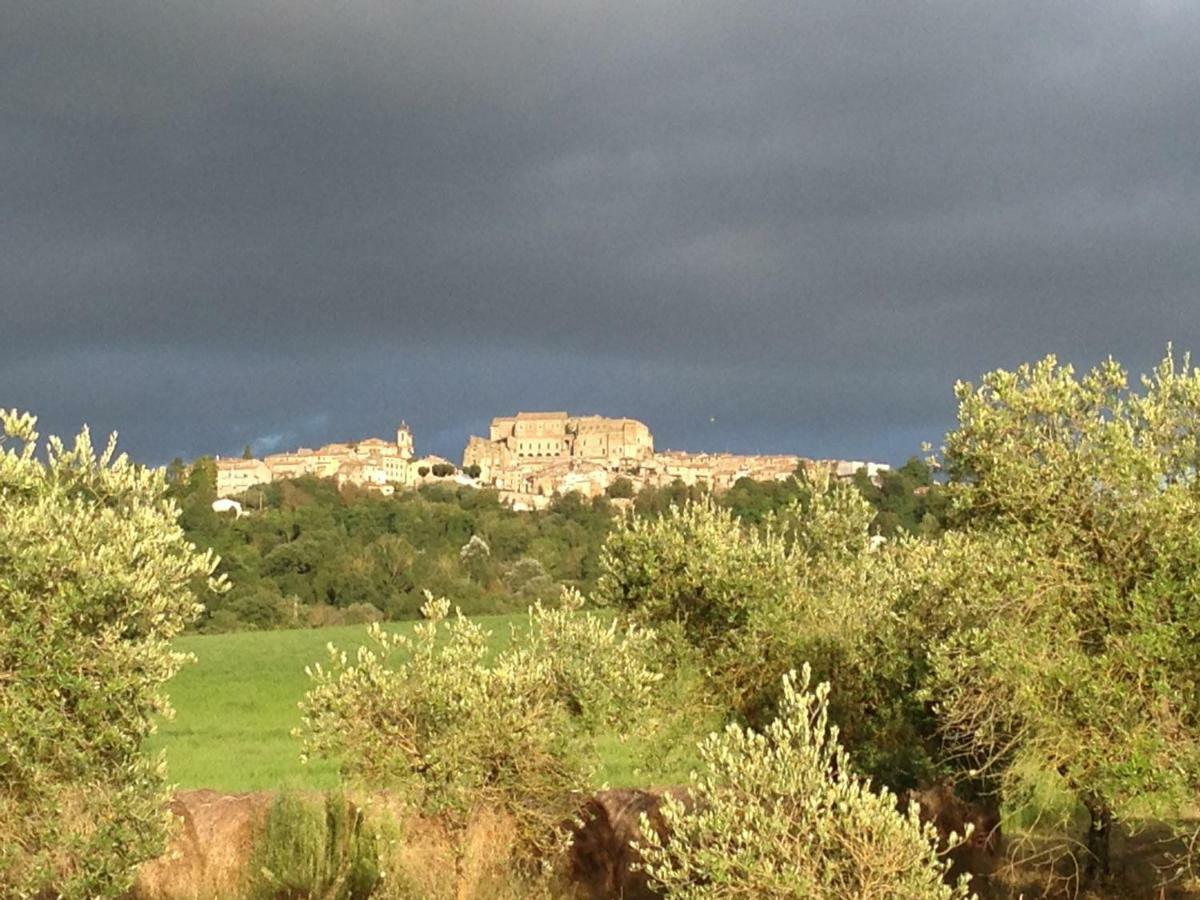 Agriturismo Podere Dell' Olmo Amelia Exteriér fotografie